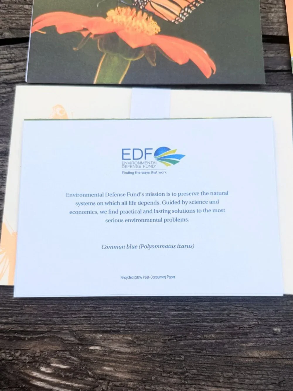 4 Vintage ENVIRONMENTAL DEFENSE FUND Monarch Butterflies Habitat Greeting Cards